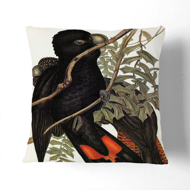 Square Cushion, 55cm H x 55cm W x 20cm D