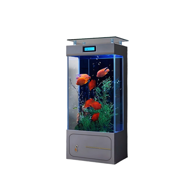 Aquarium de luxe 31,5 po, 56.8 Gallon (53.54"H x 31.5"W x 15.75"D), Transparent / gris