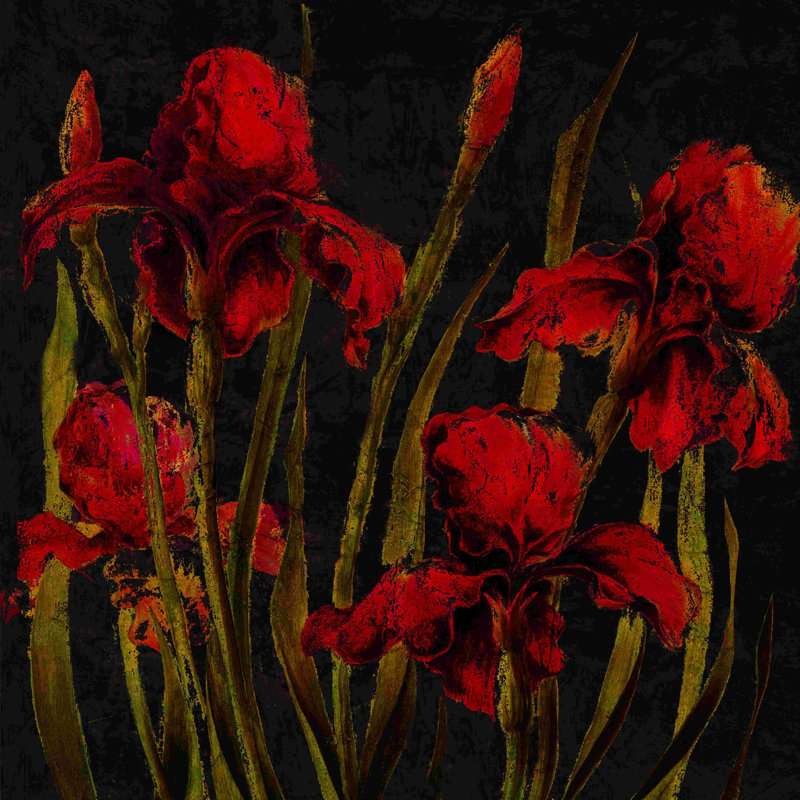 Fleurs rouges rouges - Toile tendue, H 12 po x l 12 po