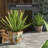 Diannie Handmade Ceramic Pot Planter