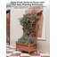 Planter-602805559