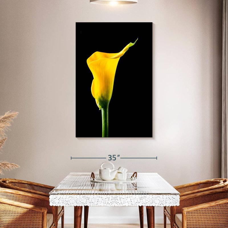 Harnek fleur de lys Calla, H 24 po x l 16 po