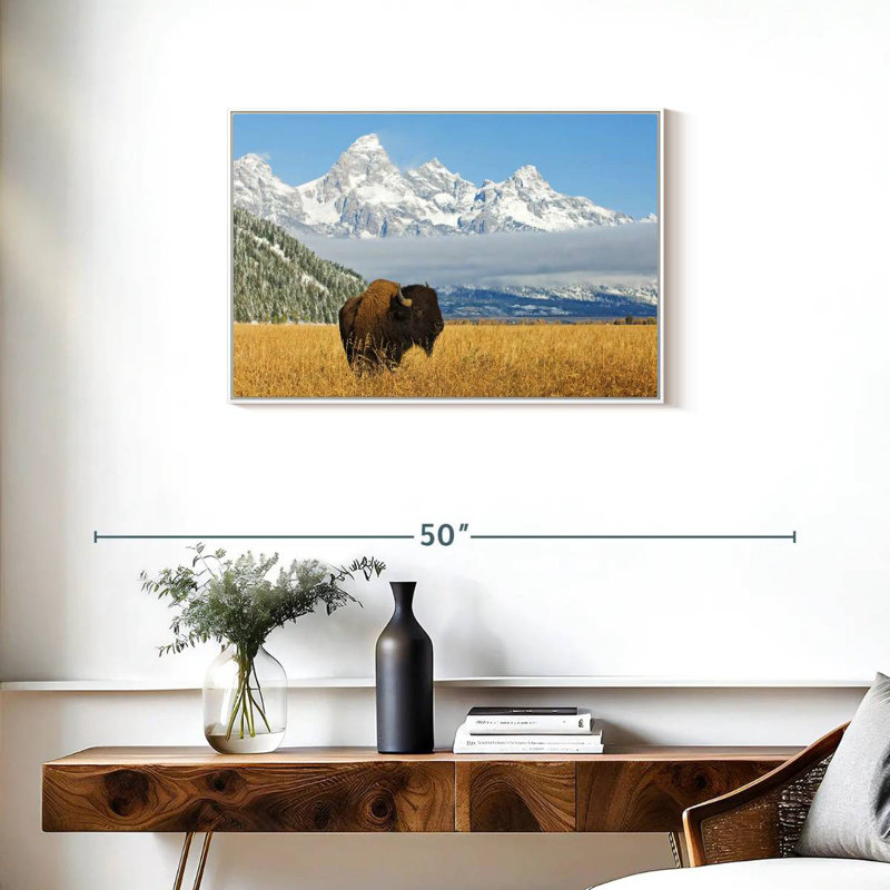 Grand Teton Bison Bull, Cadre flottant blanc, 31 po x 21 po