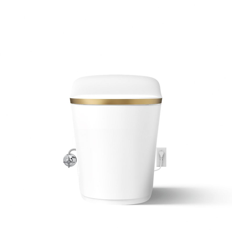 Eir™ Comfort Height™ Elongated Toilet, White/Moderne Brushed Brass