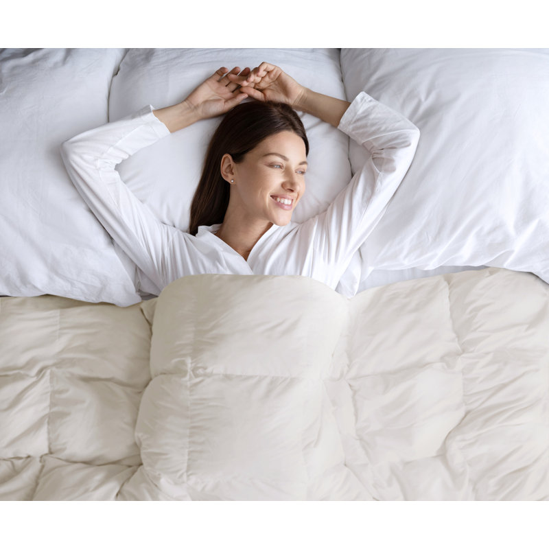 Twin Cream Down Microfiber Oversized Comforter
