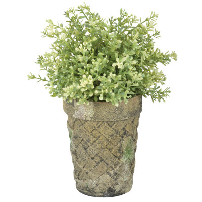Aged Terracotta Lattice Long Toms Pot
