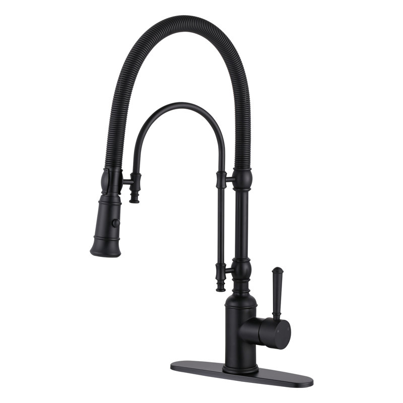 Pull Out Gooseneck High-Arc Kitchen Faucet, Matte Black