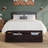 Elliana Kids Twin with Drawers-87198448-87198451