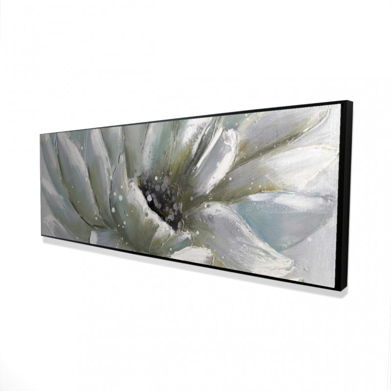 " White Chrysanthemum "