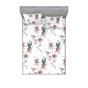 Almond Lilac/Grey Teal Floral