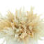 Faux Pampas Grass Grass in Ceramic Vase