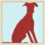 Colorful Whippet 1 Painting by Thom Filicia