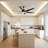 66" Modern Ceiling Fan with LED Light, 6 ABS Blades, DC Motor, Acrylic Shade, Remote Control for Living Room, Dining Room or Kitchen Eating Areas-234308032