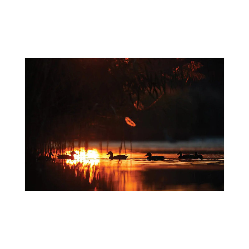 Ducks At Sunrise by Mateusz Piesiak - Wrapped Canvas Print, 20.32 cm H x 30.48 cm W