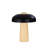 Resin Table Lamp with Dimmable Design and Black Metal Shade-290738104