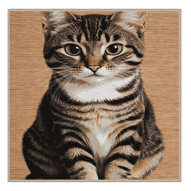 Washable Domestic Shorthair Cats Area Rug, Square 4'