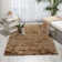 Pilipenko Indoor Rug