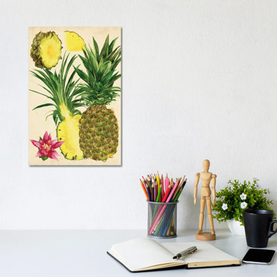 Tropical Pineapple Study II by Melissa Wang - Wrapped Canvas Painting