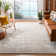 Develin Performance Chevron Rug