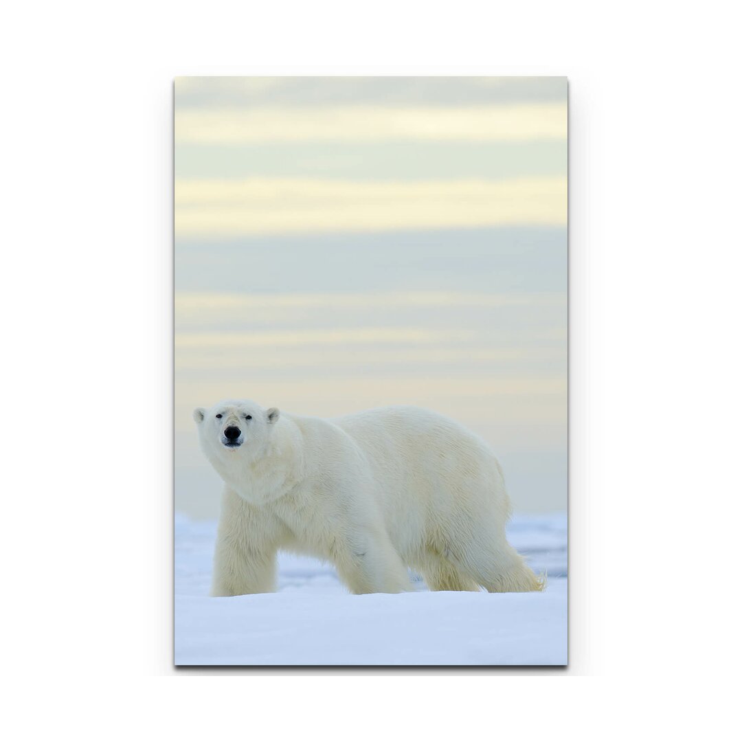 Leinwandbild Eisbär im Schnee