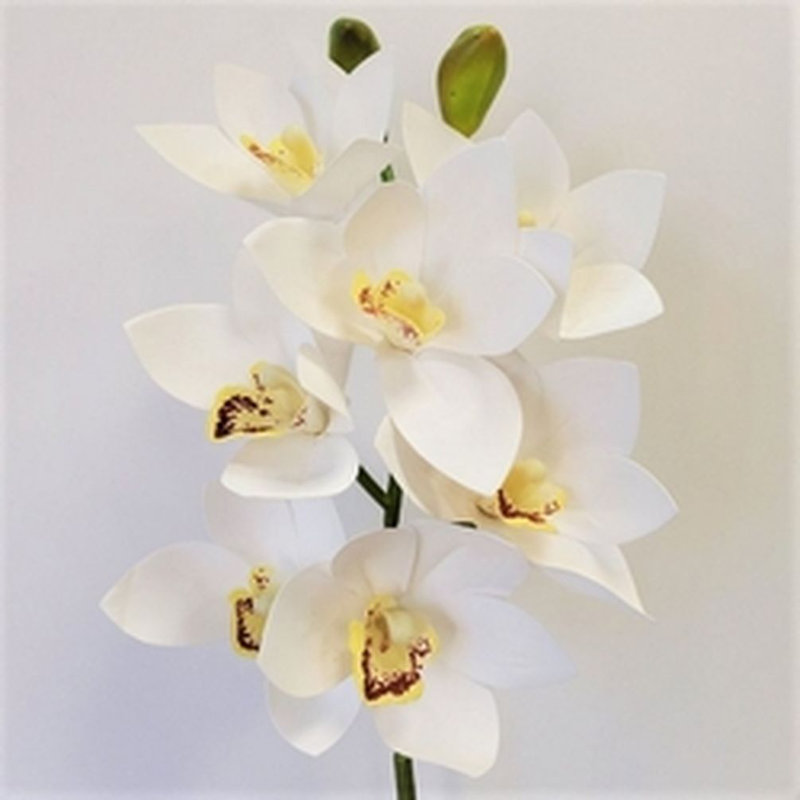 Tige d'orchidée