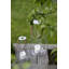 Glass Tabletop Lantern-1050243909-1050243912