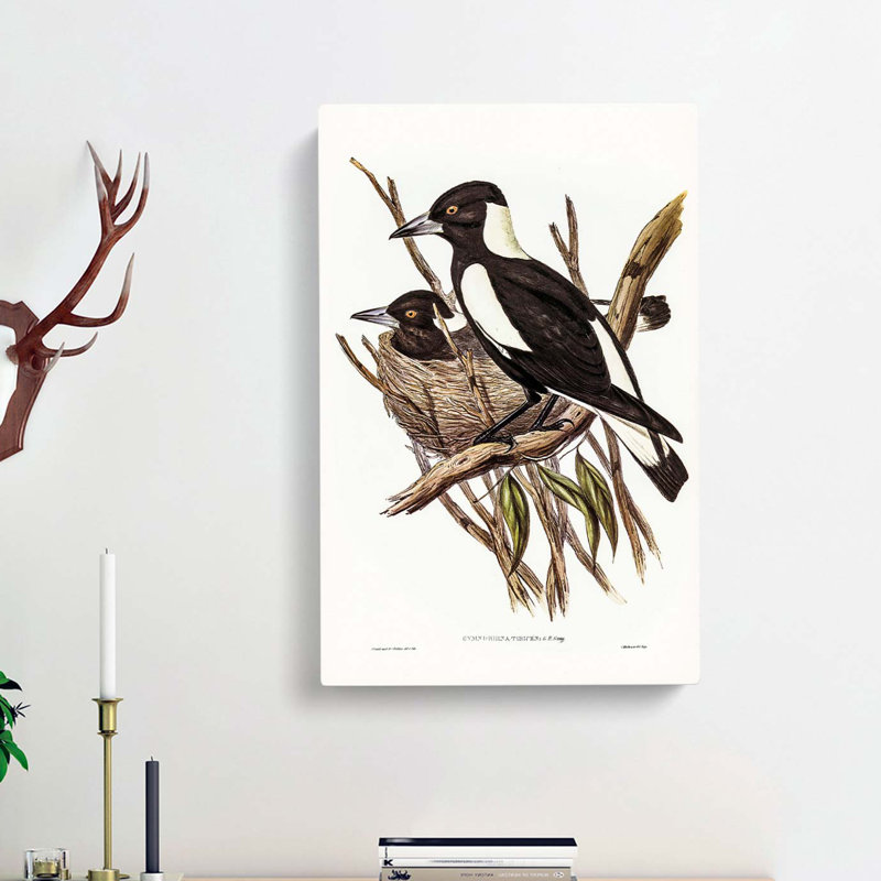 Piping Crow-Shrikes by Elizabeth Gould - Wrapped Canvas, 76cm H x 50cm W x 3cm D