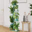 5 Tier Plant Stand