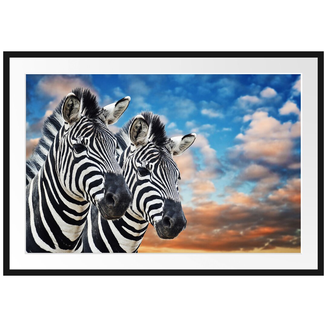 Gerahmtes Poster Zebra Pärchen