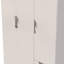Bhodhini Manufactured Wood Wardrobe-6356122