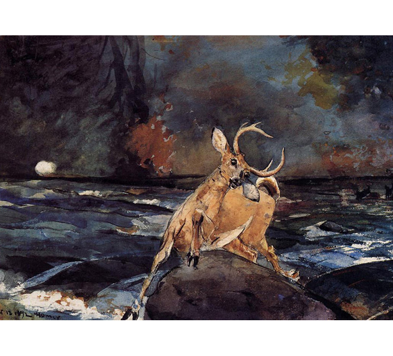 A Good Shot, Adirondacks, 28'' H x 39'' W