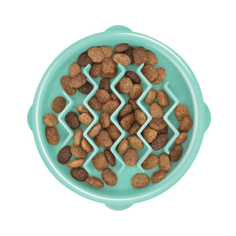 Small Mint Plastic Slow Feeder Dog Bowl