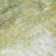 Machine Washable Indoor/Outdoor Chayden ACN1095 Sage Rug