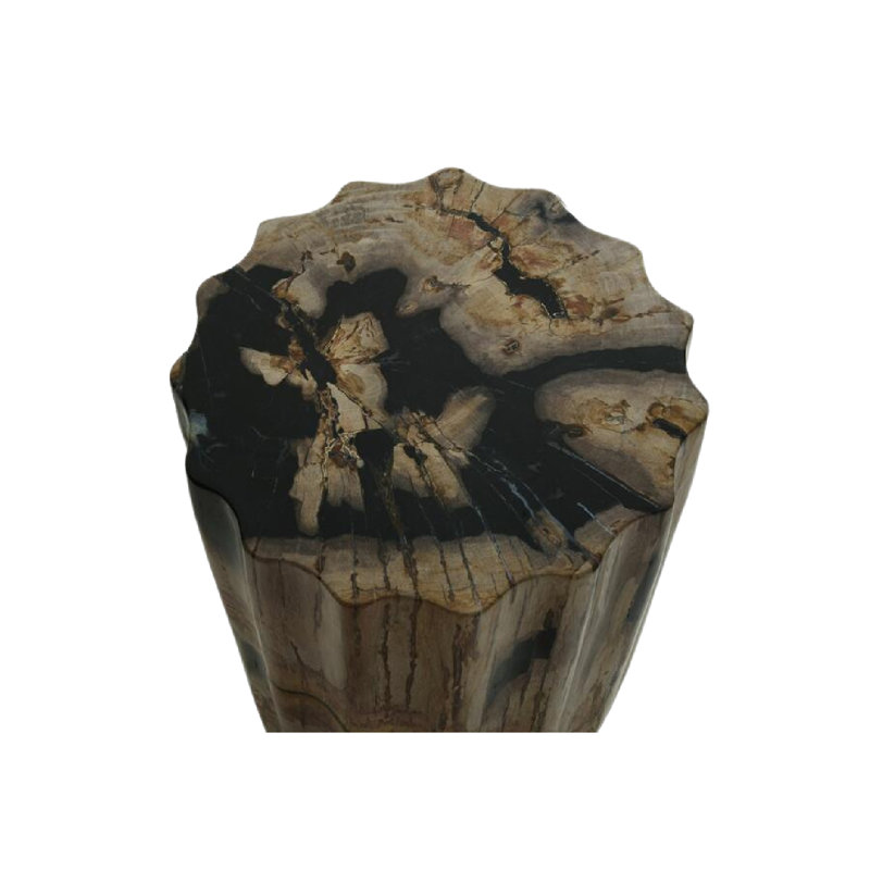 Petrified Solid Wood End Table