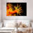 Brampt Sun Polyps-107844335