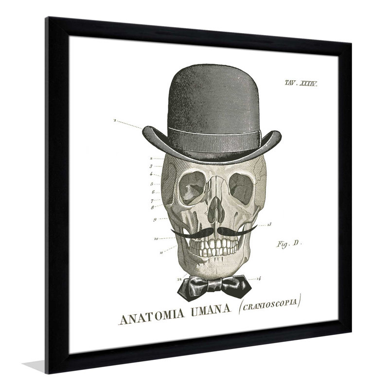 " Dandy Bones IV ", 21.5" H x 21.5" W x 0.75" D, Black Framed