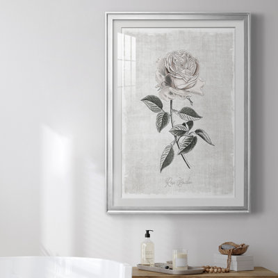 «Vintage Botanical I», reproduction encadrée de qualité supérieure - prête à être accrochée