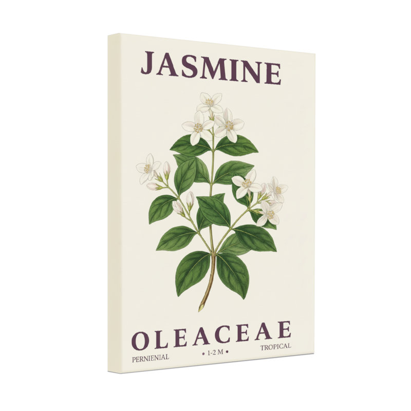 Plantes et fleurs, impression de fleurs de jasmin, H 18 po x l 12 po