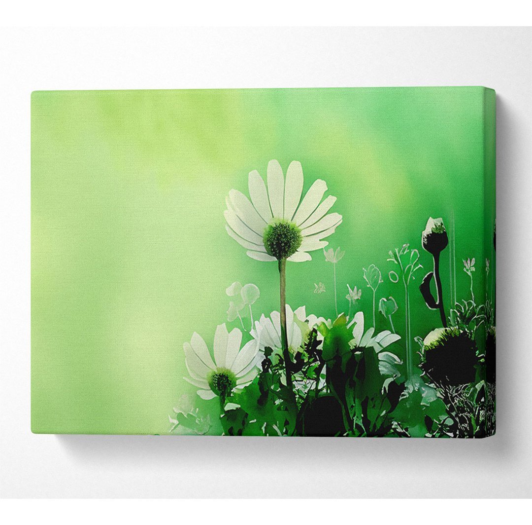 Green Daisy Garden - Kunstdrucke auf Leinwand