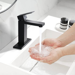 Single Hole Bathroom Faucet with Drain Assembly