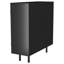 Armoire de rangement d'appoint avec 2 portes Maurus - noir