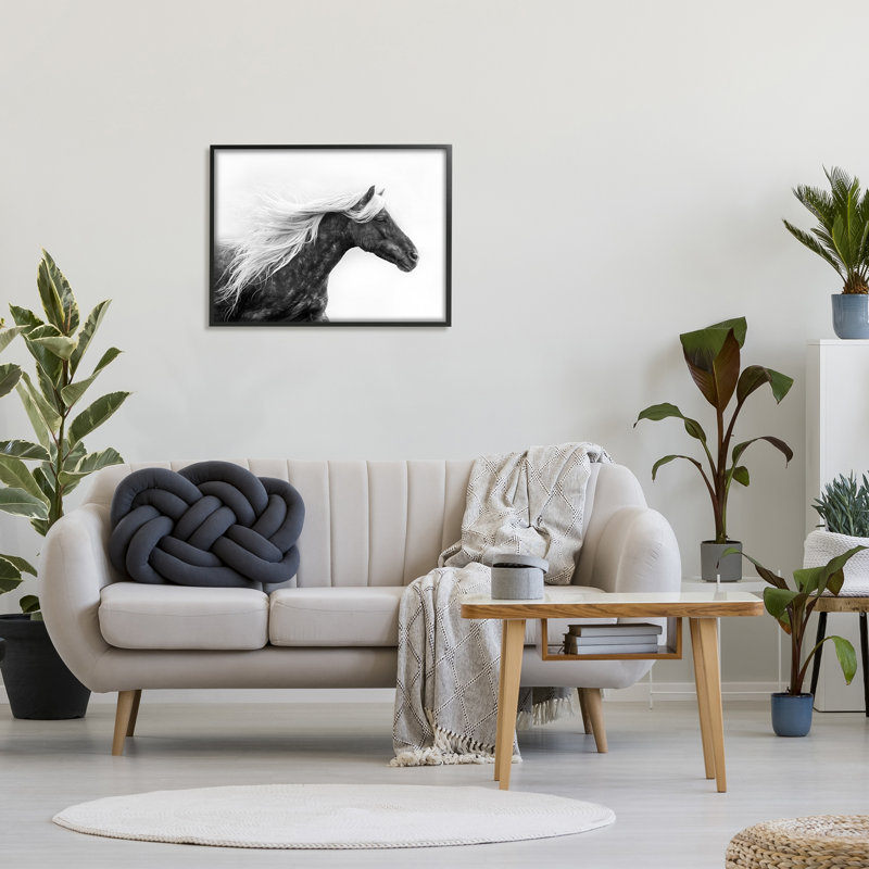 Black Framed Horse with White Mane Canvas Print, 30 x 24