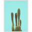 «Turquoise Cactus» par Lola Peacock, reproduction d'art sur toile encadrée-173076653
