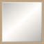 Chamblee Solid Wood Beveled Mirror-828589004-828588994