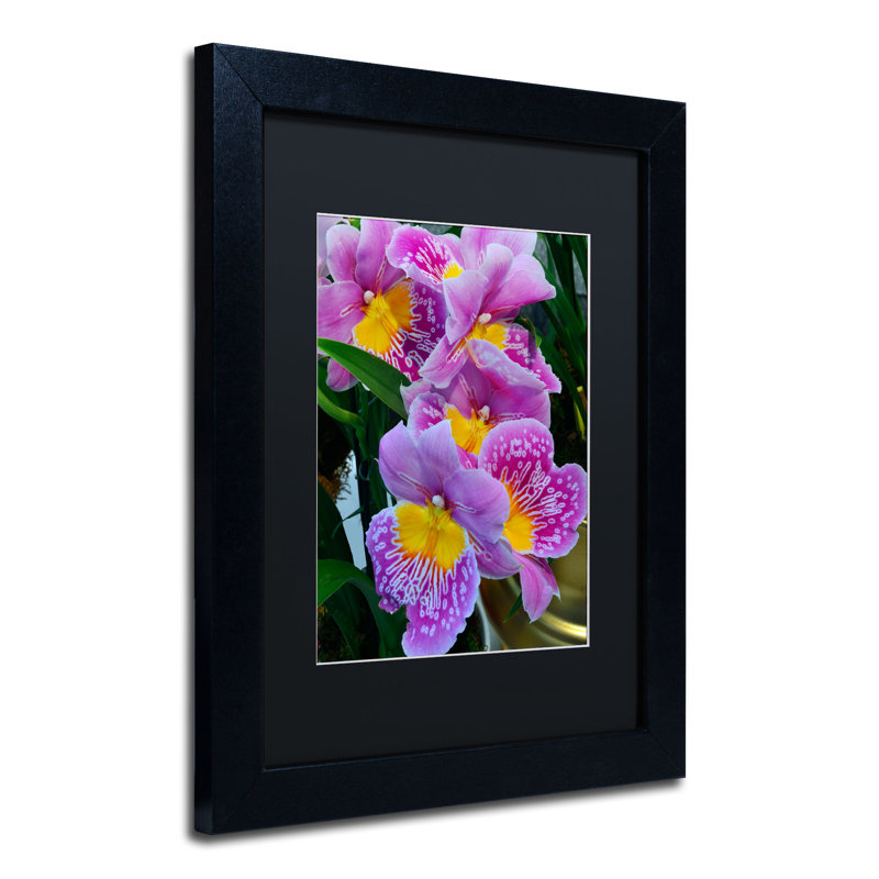 « happy orchidées » par kurt shaffer, reproduction de photo encadrée, H 14 po x l 11 po, Noir
