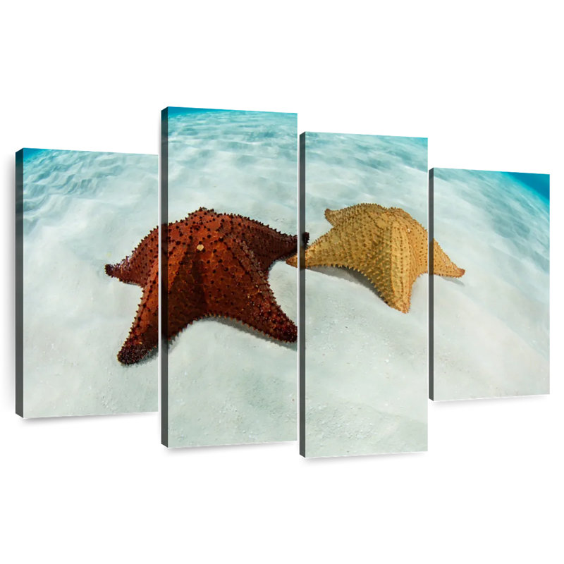 Caribbean Starfish