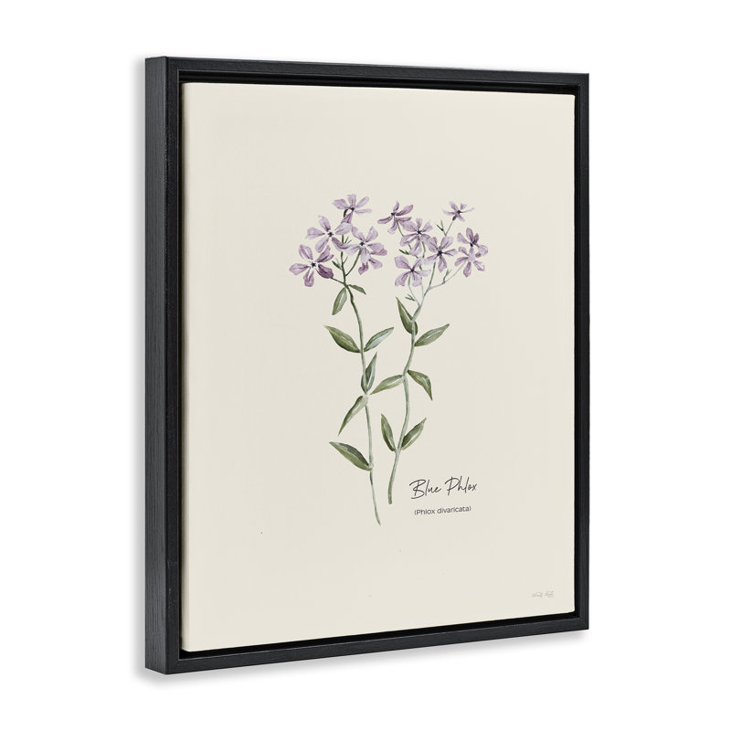 «Country Country» par Cindy Jacobs, Cadre flottant noir de jais, H 31 po x l 25 po