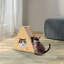 Grattoir Daric Cat