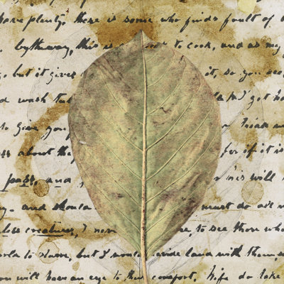 «Earth Leaf II» par Alonzo Saunders - impression sur toile tendue