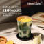 Île Coconut | Bougies parfumées 3-Wick Homelights